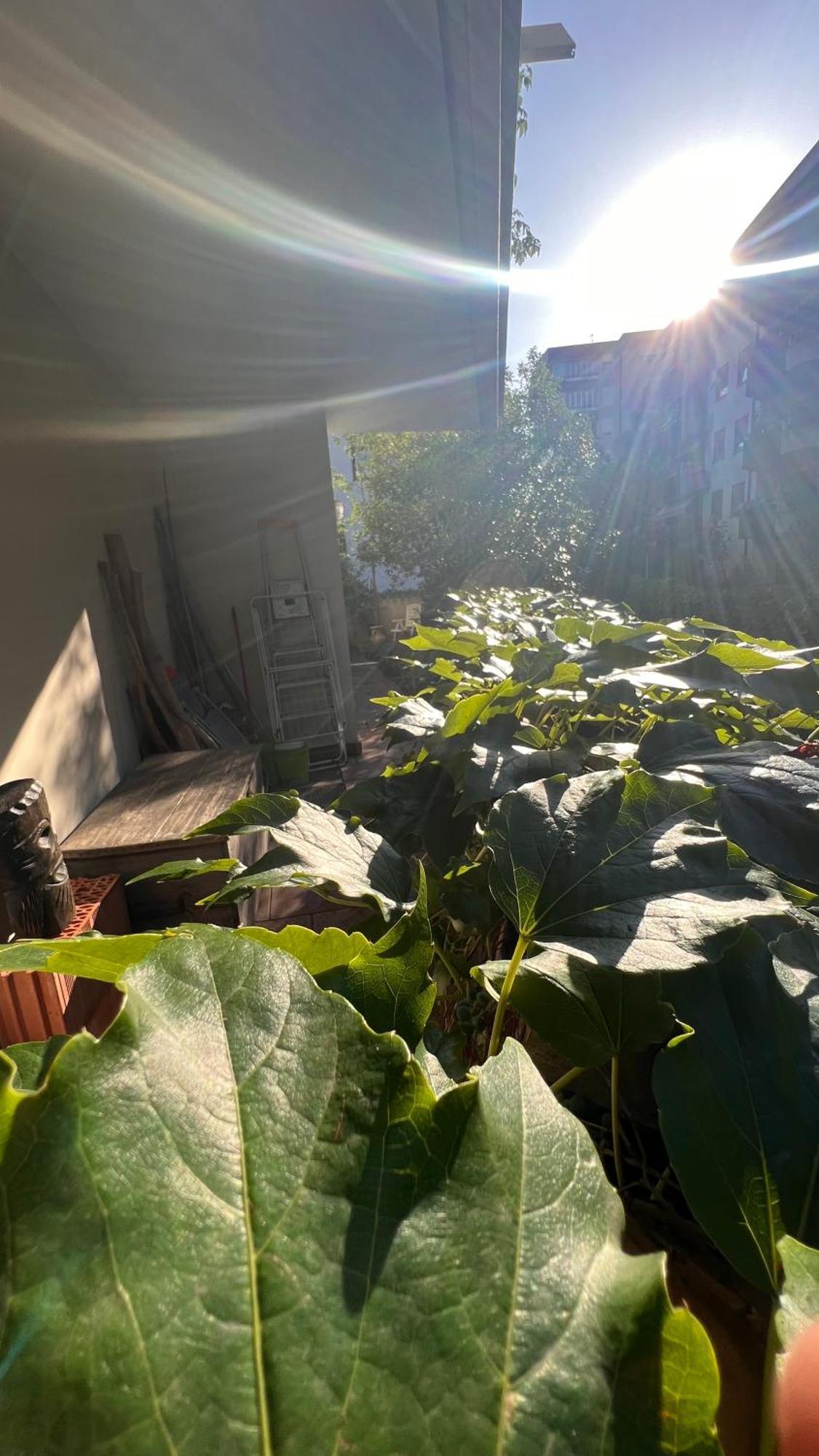 Garden Suite Bolzano Esterno foto